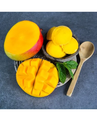 Sorbetto al mango - preparato in polvere professionale - Yoooki