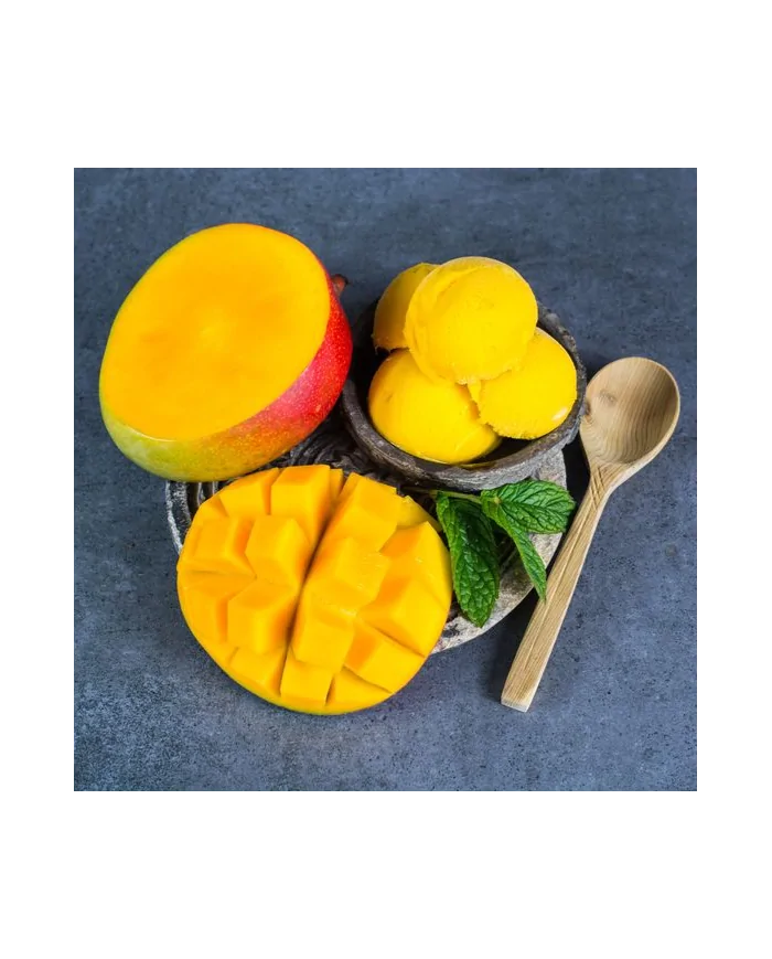 Sorbetto al mango - preparato in polvere professionale - Yoooki