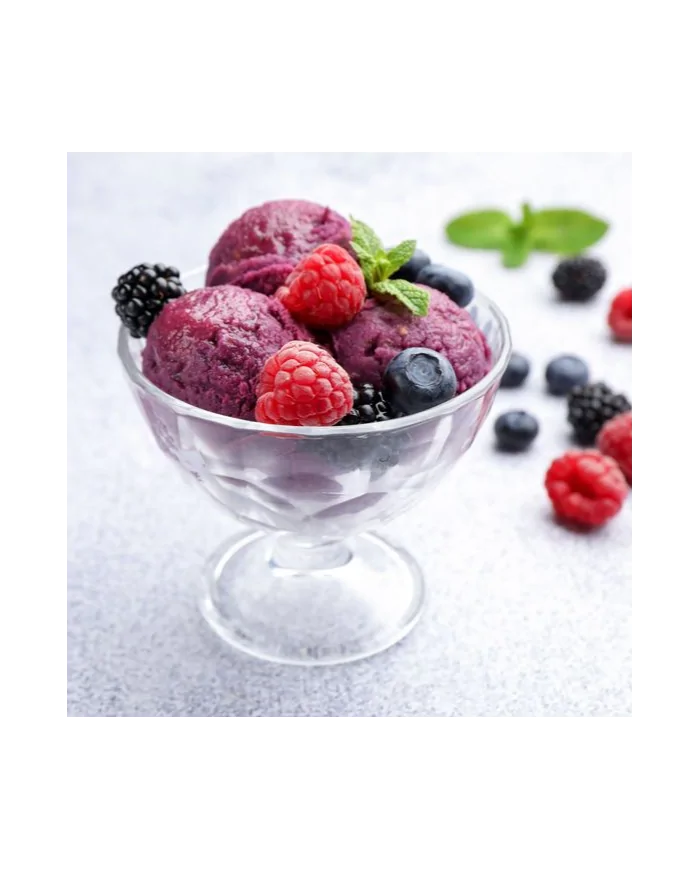 Sorbetto frutti di bosco - preparato in polvere da Bar - Yoooki