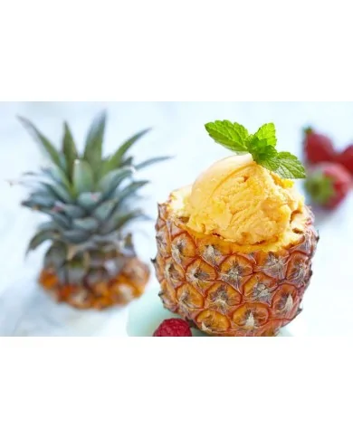Sorbetto all'ananas - preparato in polvere professionale - Yoooki