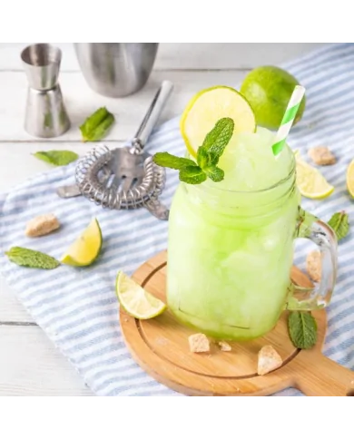 Preparato per Mojito Drink – Ghiacciato e pronto in un attimo!