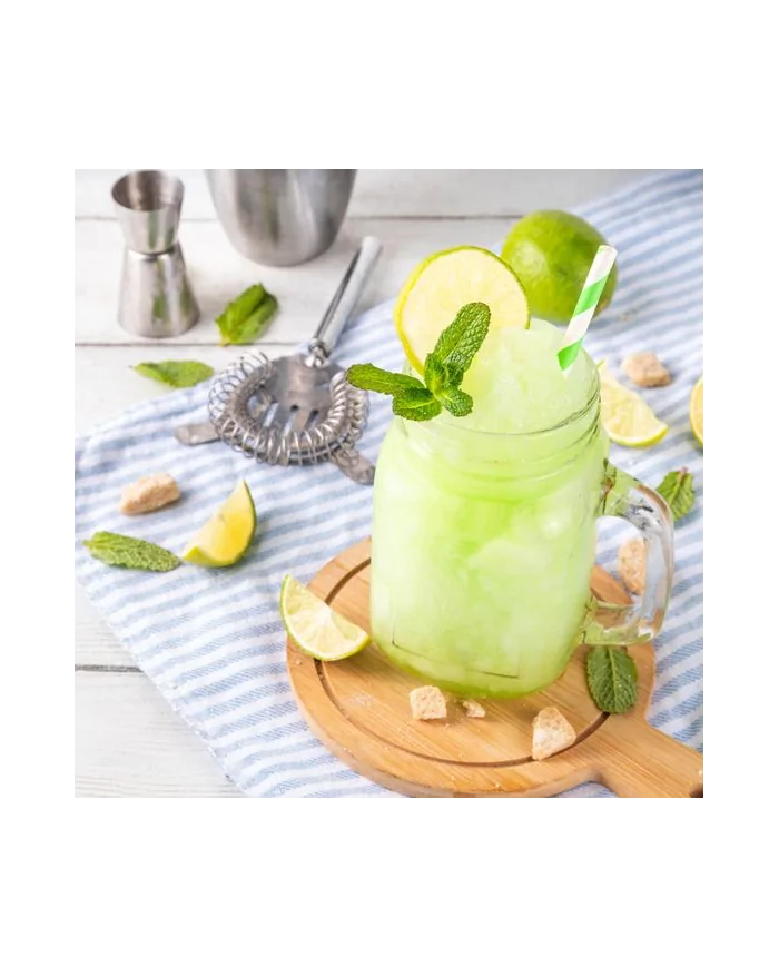 Preparato per Mojito Drink – Ghiacciato e pronto in un attimo!