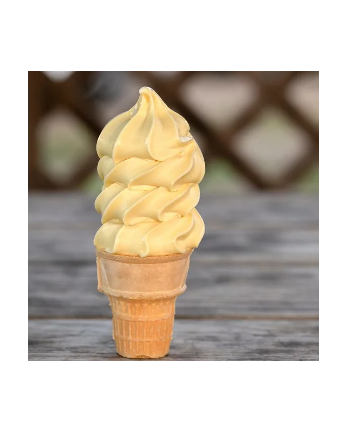 Base per Gelato Soft alla vaniglia – Preparato per Gelato alla vaniglia con gelatiera