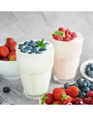 Frappè allo Yogurt in bustine per il tuo bar - Yoooki