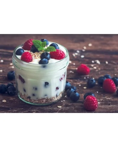Crema allo Yogurt Preparato in polvere per Bar 400 g - Yoooki