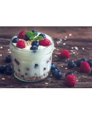 Crema allo Yogurt - Preparato per crema in polvere - Yoooki