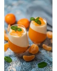 Sorbetto al mandarino - preparato in polvere professionale - Yoooki