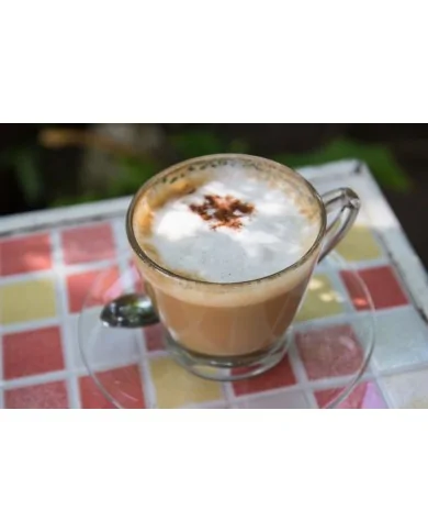 Caffè Ginseng Glam in polvere professionale da Bar - Yoooki