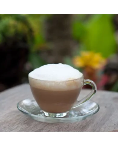 Caffè Ginseng solubile Nota Dolce - preparato in polvere Yoooki