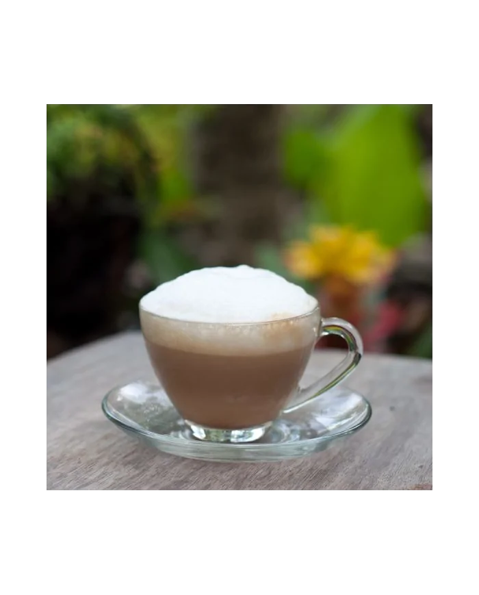 Caffè Ginseng solubile Nota Dolce - preparato in polvere Yoooki