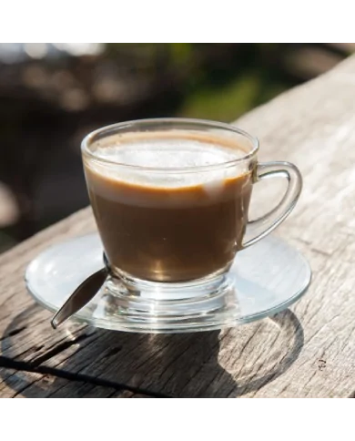 Caffè al Ginseng solubile Senza Zuccheri Aggiunti - preparato in polvere per Bar