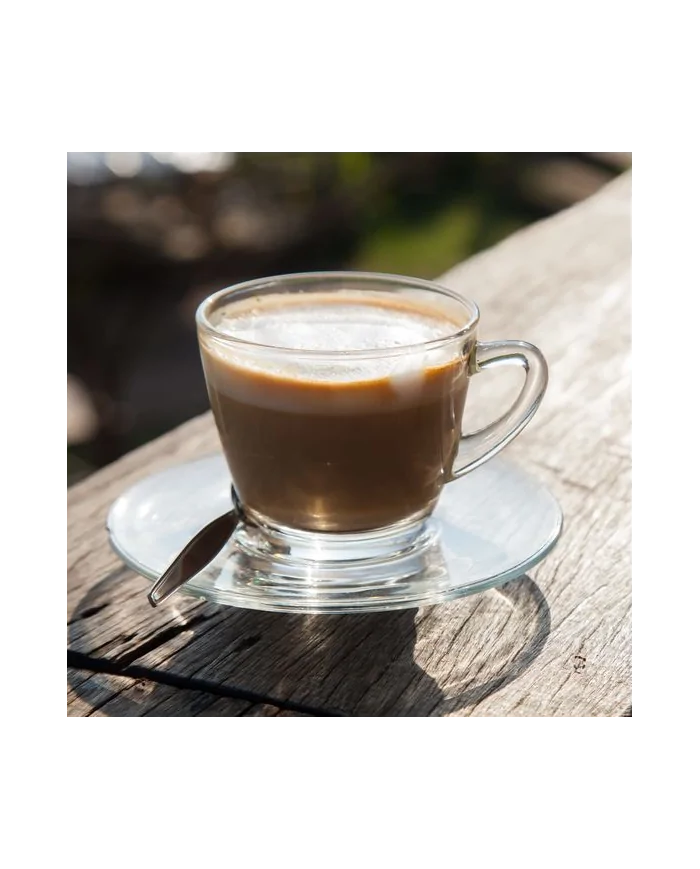 Caffè al Ginseng solubile Senza Zuccheri Aggiunti - preparato in polvere per Bar