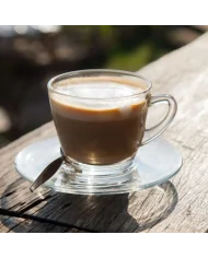 Caffè al Ginseng solubile Senza Zuccheri Aggiunti - preparato in polvere per Bar