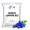 Preparato in polvere per granita al gusto lampone blu 620 grammi Yoooki