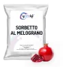 Preparato in polvere per sorbetto al melograno busta da 1000 grammi Yoooki