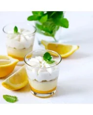 Preparato in polvere per Crema al gusto limoncello 900 grammi Yoooki