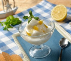 Acquista online Preparato per Granita al Limone al miglior prezzo su Yoooki