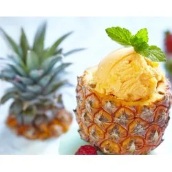 Preparato in polvere per Sorbetto al gusto Ananas 1 kg Yoooki