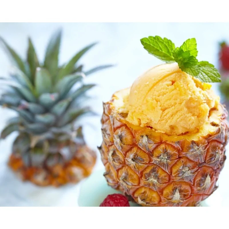 Preparato in polvere per Sorbetto al gusto Ananas 1 kg Yoooki