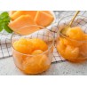 Preparato in polvere per Sorbetto al Melone 1 kg Yoooki