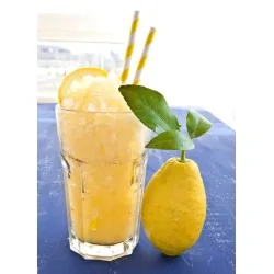 Preparato in polvere per granita al Limone 620 grammi Yoooki