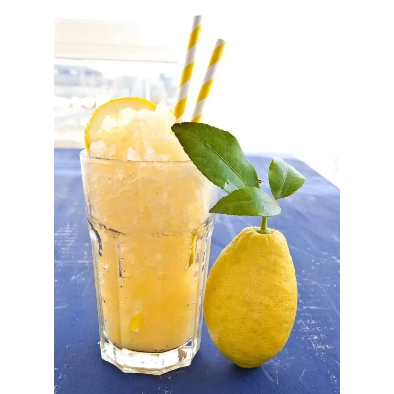 Preparato in polvere per granita al Limone 620 grammi Yoooki