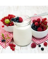 Preparato in polvere per Frappè allo Yogurt da bar box Yoooki 15 bustine da 25 grammi