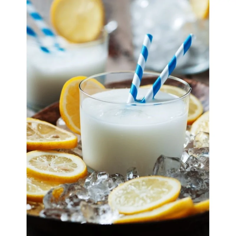 Preparato in polvere per Sgroppino al Limone 1100 grammi Yoooki