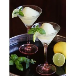 Preparato in polvere per Sorbetto al Limone Concentrato 900 grammi Yoooki