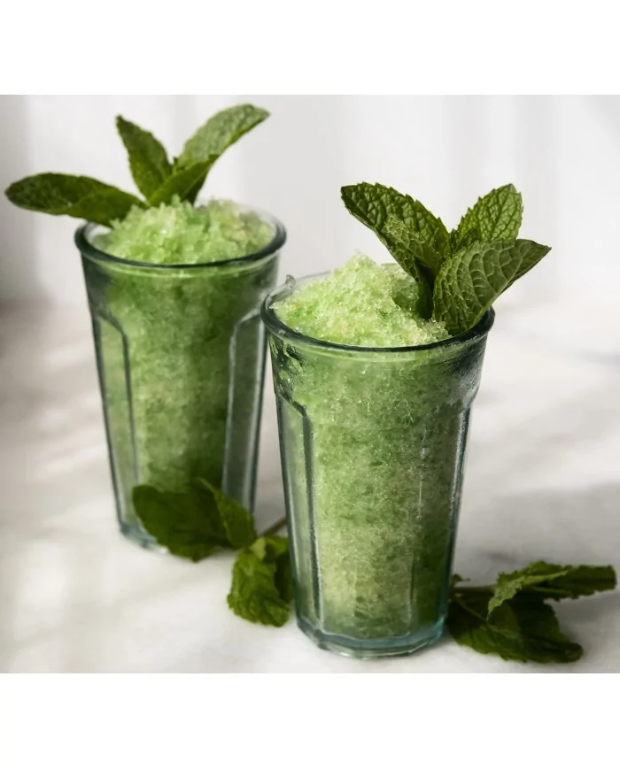 Preparato per Granita alla Menta per bar 620 grammi Yoooki