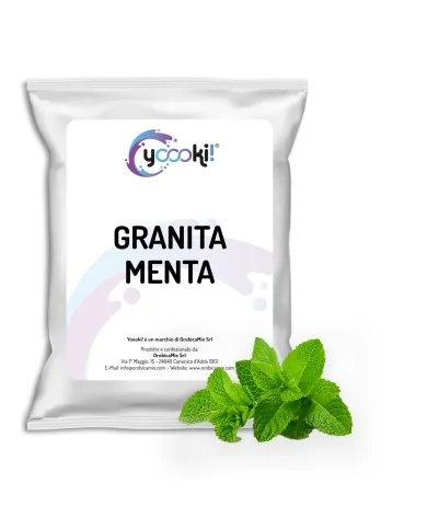 Preparato per Granita alla Menta per bar 620 grammi Yoooki