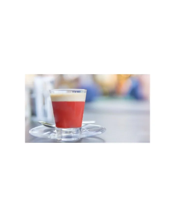 Preparato in polvere solubile per bevanda al caffè al ginseng Rosso Senza Lattosio 500 grammi Yoooki