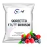 Preparato in polvere per Sorbetto ai Frutti di Bosco 1kg Yoooki