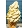 Base per Gelato Soft alla vaniglia – Preparato per Gelato alla vaniglia con gelatiera