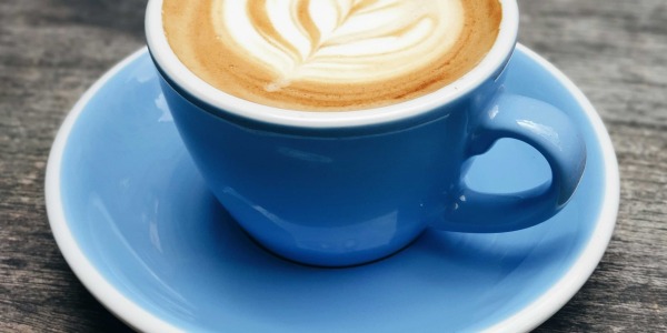 Il ginseng contiene caffeina? Le differenze tra il ginseng e il caffè‍