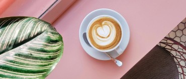 Quali sono le migliori cialde di ginseng per il tuo bar?